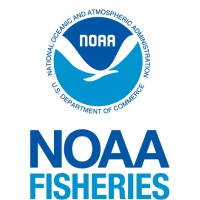 NOAA Fisheries logo - Similar company to Noaa: National Oceanic & Atmospheric Administration