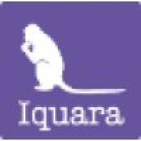 Iquara logo - Similar company to Aritel