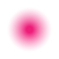 Temporary Pleasure logo - Similar company to Monom