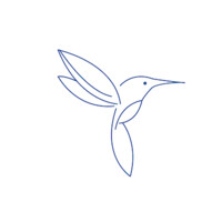 Calliope Global