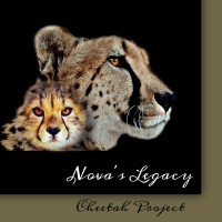 Nova's Legacy Cheetah Project logo - Similar company to Timeless Addict