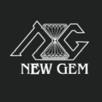 NEW GEM  S.R.L logo - Similar company to Virtual It Solutions