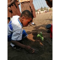 Ghana Youth Environmental Movement logo - Similar company to The Climate Sociologist