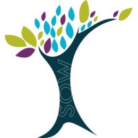 SOW PROFESSIONAL SERVICES LTD logo - Similar company to Valueforth Consulting
