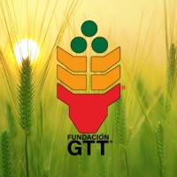 Fundación GTT® logo - Similar company to Regenera Ls