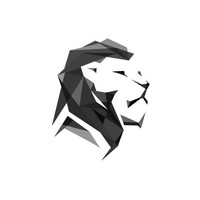 Lev IT Software Development B.V. logo - Similar company to Agile Analytics