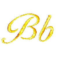 B Flat Pictures logo - Similar company to Mcnally Jackson