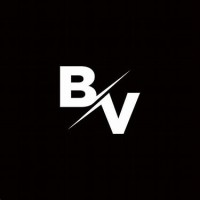 Bhavin Vora logo - Similar company to Hercules Chem Tech