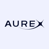 Aurex Capital logo - Similar company to Heimtech
