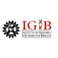 IGIB logo - Similar company to Microsonic Systems, Inc.