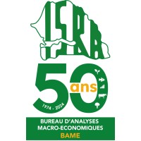 ISRA BAME logo - Similar company to Nebeday