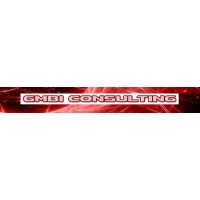 GMBI Consulting Inc. logo - Similar company to Div13