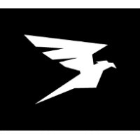 Falcon Real Estate logo - Similar company to Burns Realty & Investments