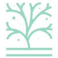 Cothrom Capital logo - Similar company to Clerisque Consulting Inc.