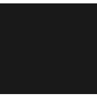 Argus GmbH logo - Similar company to Swb Schwarzwaldbruder Gmbh