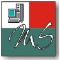 MegaHit Systems logo - Similar company to Euidem Technologies