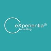 EXPERIENTIA CONSULTING logo - Similar company to Hexagon Iso Software