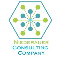 Niederauer Consulting Company logo - Similar company to Airzus