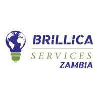 Brillica Services Ltd. Zambia logo - Similar company to Mindserve Media