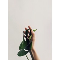 Buy Less. Buy Better. logo - Similar company to The Buy Less Project