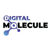 Digital Molecule Pvt Ltd logo - Similar company to Mindsmiratus Technologies Pvt Ltd