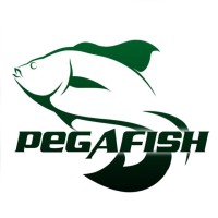 Pegafish logo - Similar company to Setara Technology