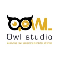 Owl Studio logo - Similar company to Akela Studio