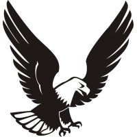 Team Eagle Computers logo - Similar company to Blue Team Computers Srlu