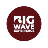 Big Wave Experience logo - Similar company to Pacific Surf Designs, Inc.