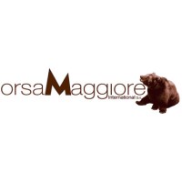 Orsa Maggiore International Srl logo - Similar company to Dimensione Pulito