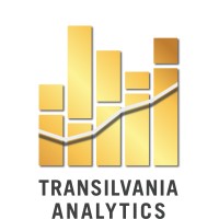 Transilvania Analytics logo - Similar company to Koi Systems