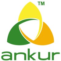 Ankur-greatsolution.com logo - Similar company to Creez Technologies