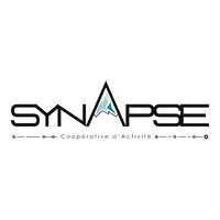 CAE Synapse logo - Similar company to Fgcaeanalyst