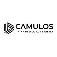 Camulos logo - Similar company to Nexgen Associates