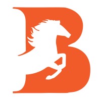 Brandmaker333 Media Solutions logo - Similar company to Smarttechies.In