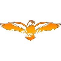 Digitizehawk