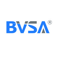 The BVSA Company
