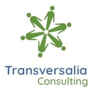 Transversalia Team logo - Similar company to Bpw Canarias