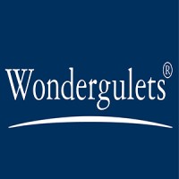 Wondergulets Group logo - Similar company to Adriyachts