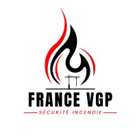 France VGP logo - Similar company to Datacomsys