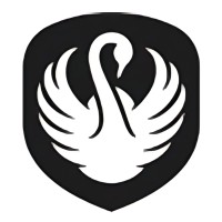 Dansk Limousine Service logo - Similar company to Dl-Limousine Service