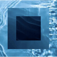 Deep Caerulo LLC logo - Similar company to Next Carriers