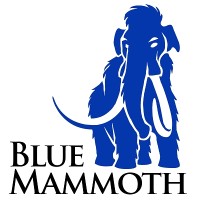 Blue Mammoth Games, a Ubisoft Studio logo - Similar company to Hi-Rez Studios