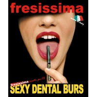 MC DENTYTECH SL - Fresissima España logo - Similar company to Dam Group