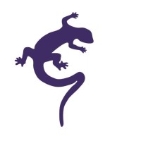 Geckoella Ltd logo - Similar company to Openspace