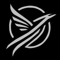 Nexum Airways logo - Similar company to M&E Worldwide