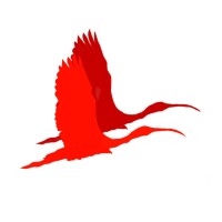 Guará Junior