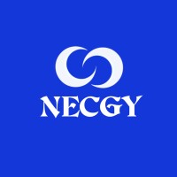 Necgy IT and Consulting logo - Similar company to Creative Corporation