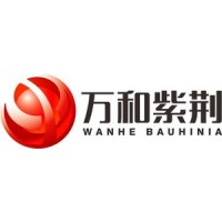 万和紫荆集团有限公司 logo - Similar company to 威卢克斯(中国)有限公司