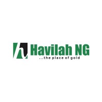 HAVILAH NG logo - Similar company to Contemeleon Technologies